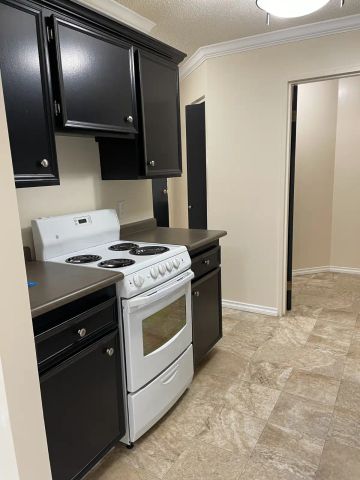 2 BDRM/1.5 BATH - River Trails/Lawson Mall - AVAILABLE FEB 7 - Photo 5