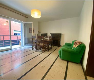 STUDENTI UNIVERSITARI - Photo 5