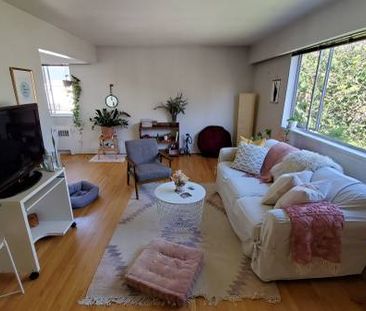 Pet Friendly Large Bright 1 bedroom available Sept 15! - Photo 1