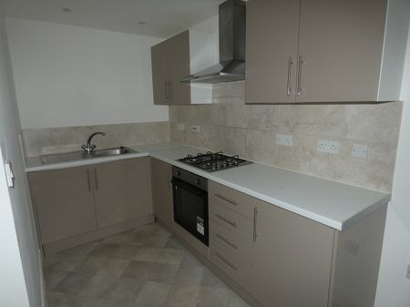 Palatine Road flat 3 - Photo 3