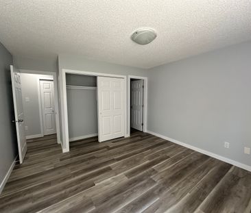 RENOVATED 1-Bedroom Apartment - SMALL PET FRIENDLY! - Photo 4