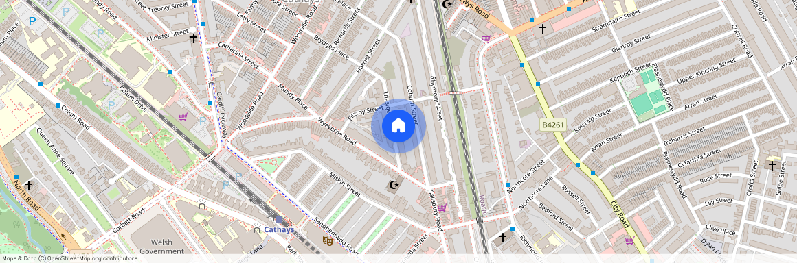 Thesiger Street, Cathays, CF24