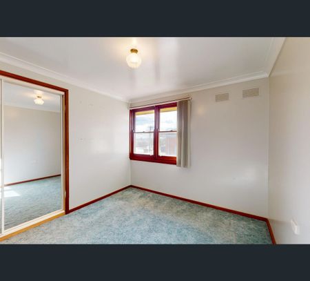 19 Tahlee Avenue, Woodberry, NSW 2322 - Photo 4