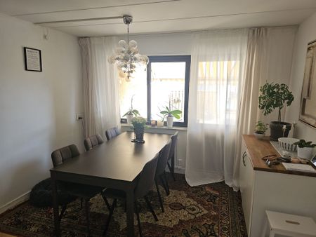 Tranbärsstigen, Strängnäs - Photo 3