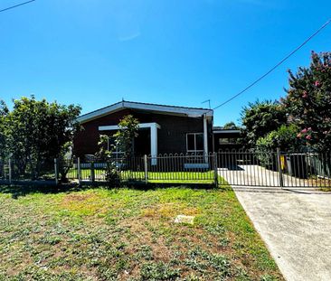 50 Surrey Street, Minto - Photo 6