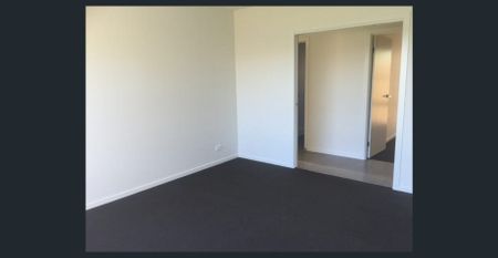 Spacious Modern Living in Nudgee - Photo 3