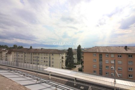 Appartement de 3.5 pièces avec sauna dans une chambre et jardin commun - Photo 3