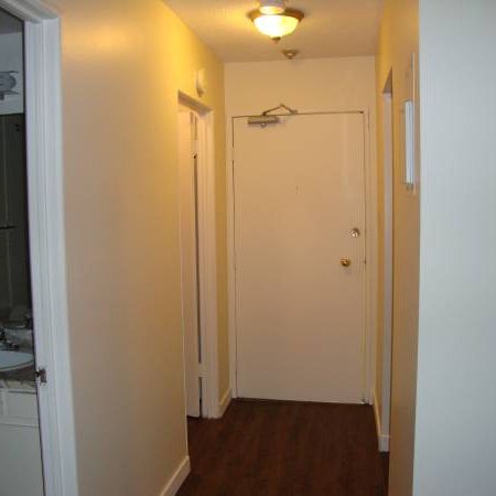 1 BDR-Welcome to Pine Manor clean & professionally managed - Photo 3