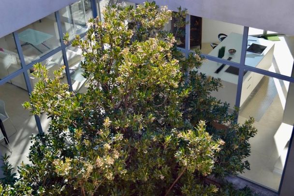 A louer, villa de prestige au centre du village de Gordes, pour 6 personnes, avec piscine et jardin - Photo 1