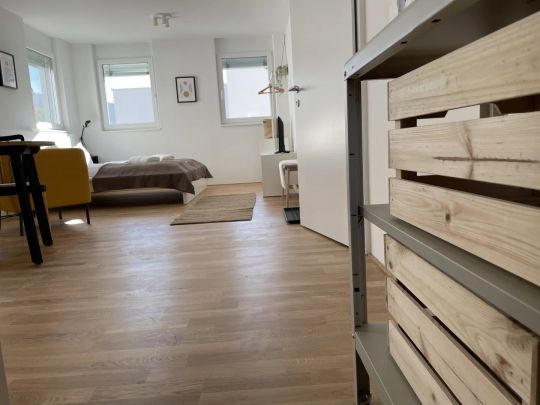 Stilvoll Wohnen in Hohenweiler - Moderne 1-Zimmer Wohnung mit Stellplatz! - Photo 1