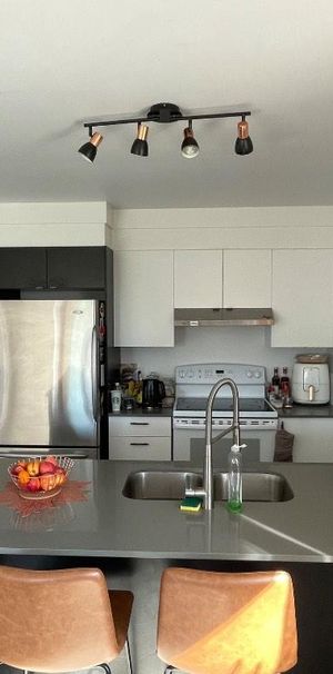 Appartement 4 1/2, animaux acceptés + prime - Photo 1