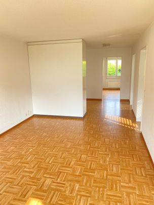 2.5 Zimmer, 55 m², 1. Stock - Foto 1