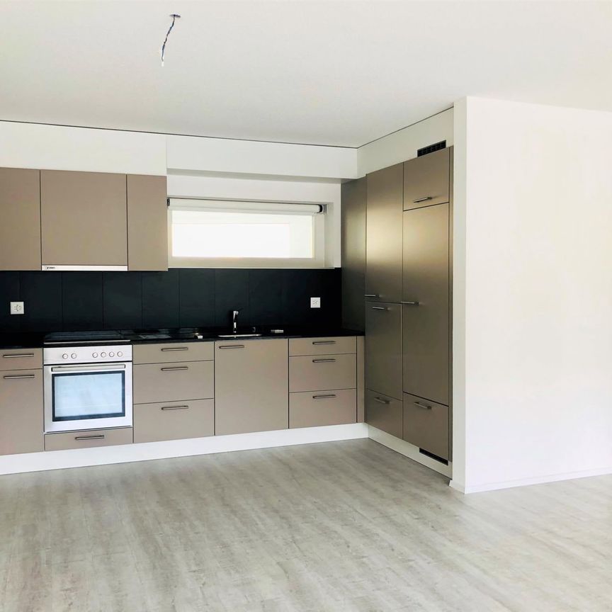 2.5 Zimmer, 56 m², 1. Stock - Foto 1