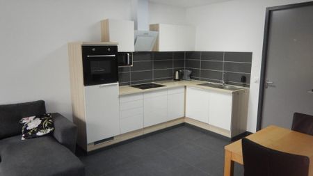Benedenwoning Oosterlaagte, Leens huren? - Photo 3