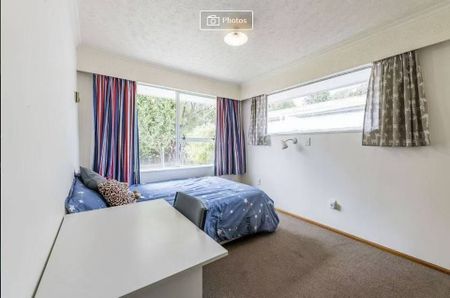 Upper riccarton sunny 2 bedroom house - Photo 4