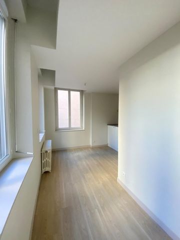 Appartement 1 pièce à louer St Étienne - 42000 / Réf: 1-1295 - Photo 2