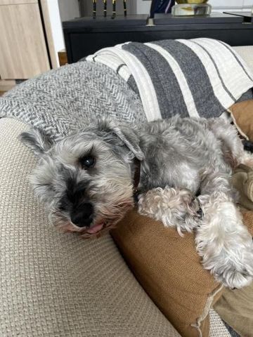 3 night / week only in our duplex warehouse style river view flat - Photo 5