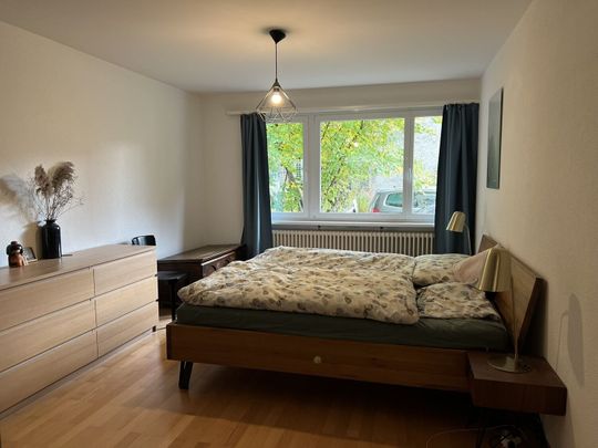 APPARTEMENT DE 3 PIÈCES À WINTERTHOUR - VELTHEIM, MEUBLÉ, TEMPORAIRE - Foto 1