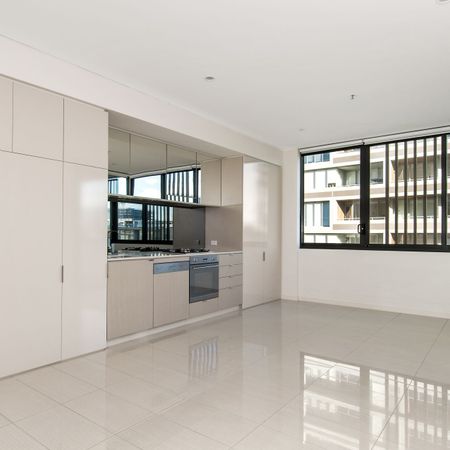 555/2C Defries Avenue, Zetland - Photo 3