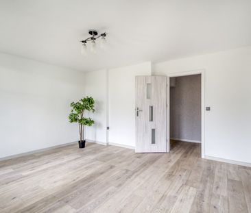 TAK dla ZWIERZĄT, 3 oddzielne pok, widna kuchnia - Zdjęcie 2