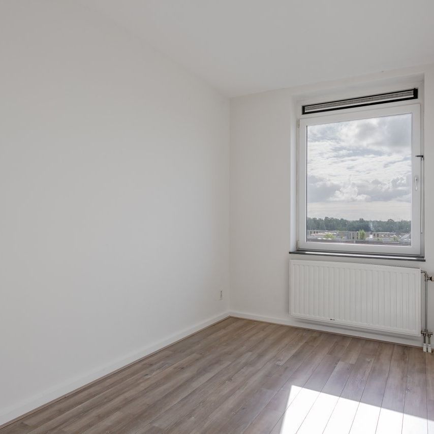 F Dietrich Kahlenbergstr 50C, 1087LL Amsterdam - Foto 1