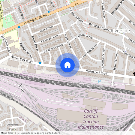 Ninian Park Road, Cardiff(City), CF11