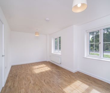 3 bedroom house to rent - Photo 4