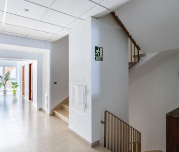 Alquiler de Temporada de Estudio en Puerto de La Cruz – 0067-04554 - Photo 2