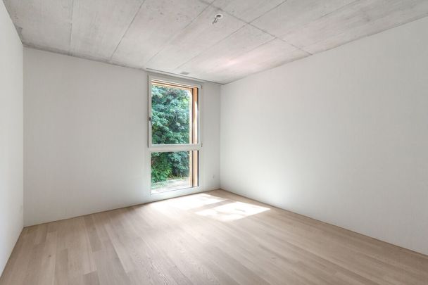 3.5 Zimmer-Wohnung im Seehof Fruthwilen zu vermieten! - Photo 1