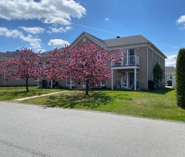 5 1/2 Style Condos - Photo 1