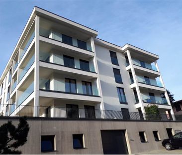 Appartamento 2.5 locali con terrazzo - Photo 1