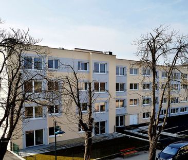 HERZOGENBURG I/1 - Betreutes Wohnen - Photo 2