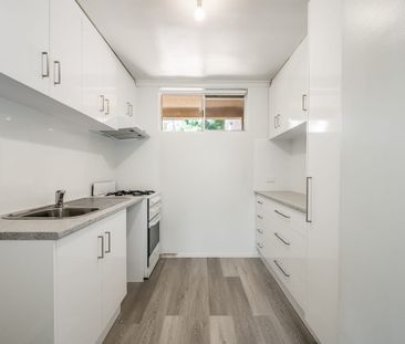 FULLY RENOVATED 2 BEDROOM UNIT IN SMALL GROUP - Photo 1