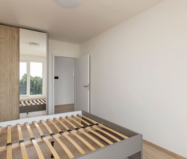 Pronájem bytu 2+kk • 47 m²Haenkeho, Praha - Řeporyje - Photo 1