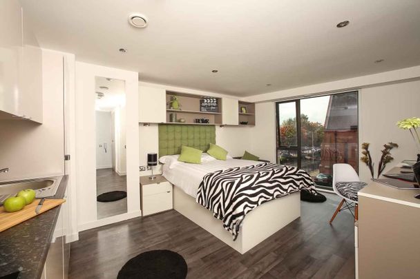 Premium Studio (Access) - Photo 1