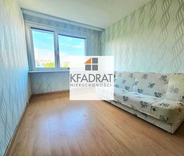 3. pokoje w centrum Polic na wynajem od zaraz! - Photo 2