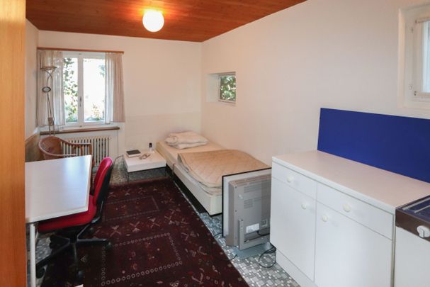 Charming living near the lake - Photo 1