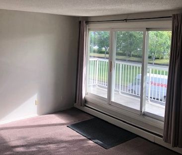 1 Bedroom Condo For Rent In Old Strathcona. - Photo 3
