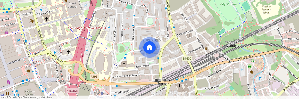 Copland Terrace, Shieldfield, NE2