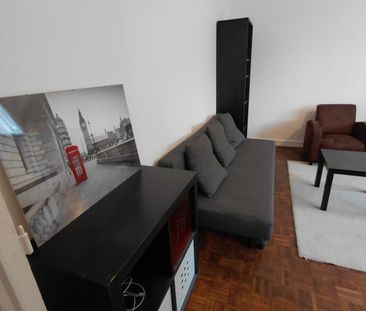 Location Appartement 1 pièce 25m² GRENOBLE 38100 - Photo 2