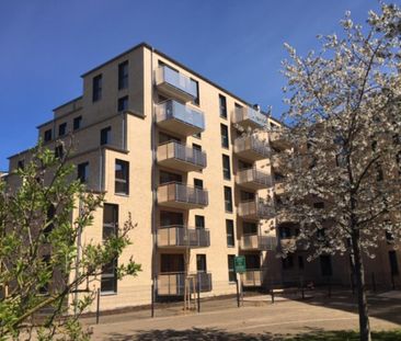 2-Zimmer-WBS-Wohnung mit Südbalkon - Foto 5