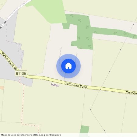 Heckingham Park Drive, Hales, Loddon