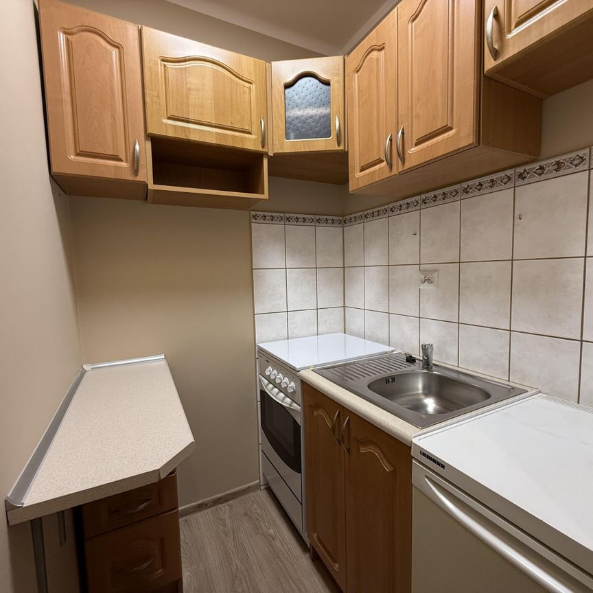 Przytulna kawalerka bilsko centrum-cisza,zieleń i wygoda! - Zdjęcie 1