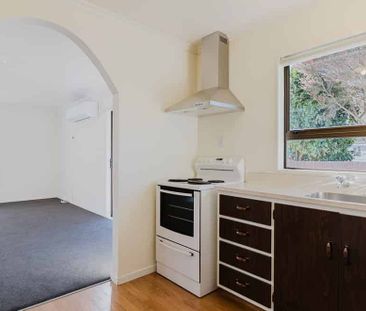 Lovely on Laurel - Photo 3