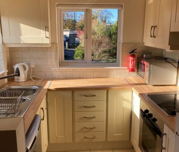 29 Oaklands Crescent, Rathgar, Dublin 6 - Photo 6