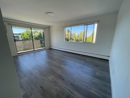 Top Level Renovated Apartment in White Rock - Photo 3