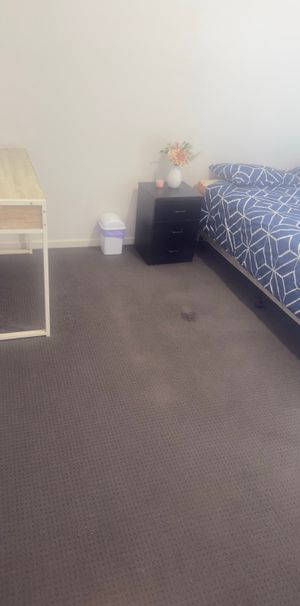 Manor Lakes - Photo 1