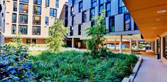 Scape Cleveland, Sydney - Photo 2