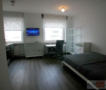 FLATmix.de / City-Lage, renoviertes und modern möbliertes Apartment - Photo 4