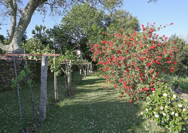 6 bedroom luxury Detached House for rent in O Rosal, Spain